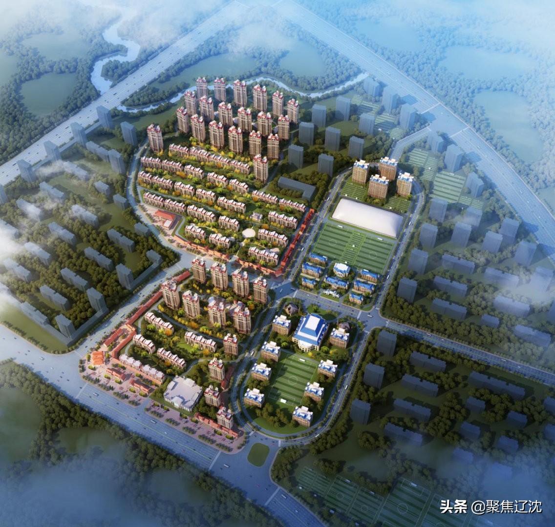 足球武汉vs大连直播视频，一场跨越两座城的绿茵对话，今晚你准备好了吗？